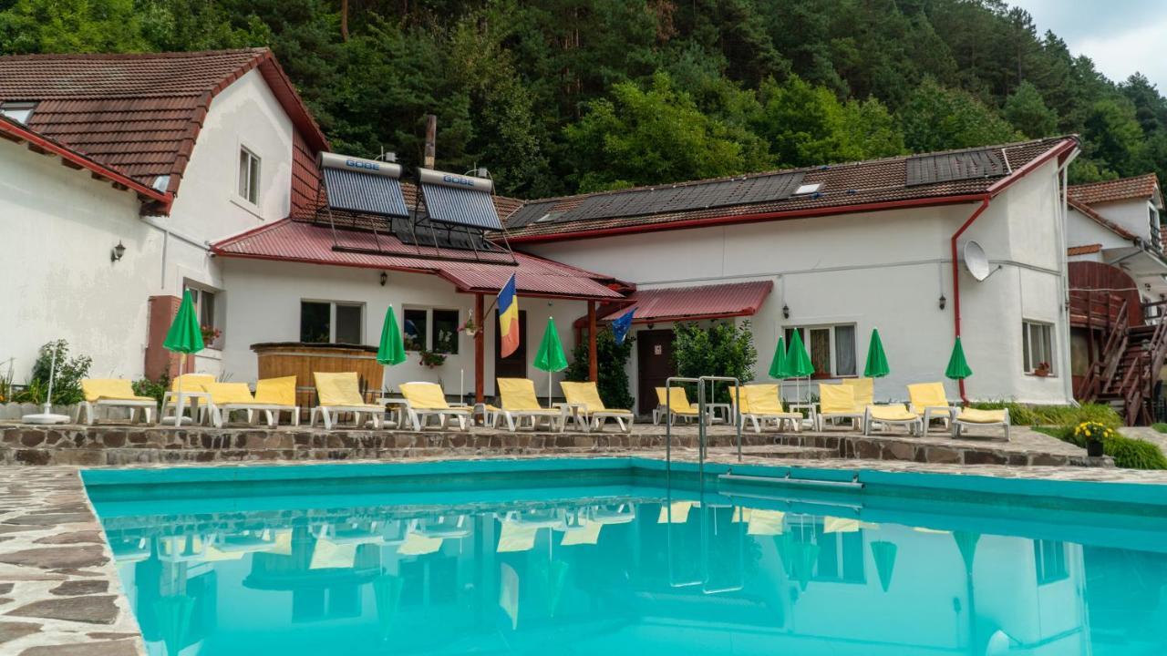 Pensiunea Alpin Păltiniş Εξωτερικό φωτογραφία