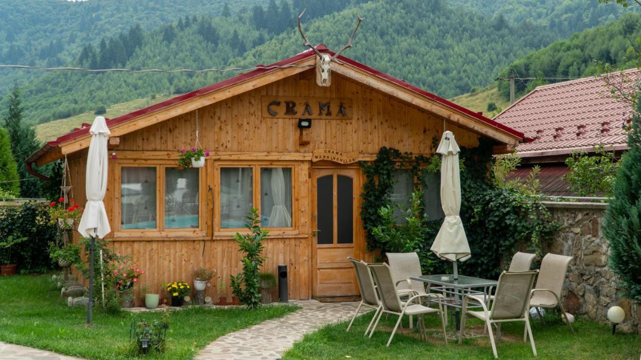 Pensiunea Alpin Păltiniş Εξωτερικό φωτογραφία