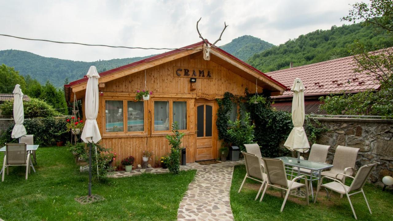 Pensiunea Alpin Păltiniş Εξωτερικό φωτογραφία