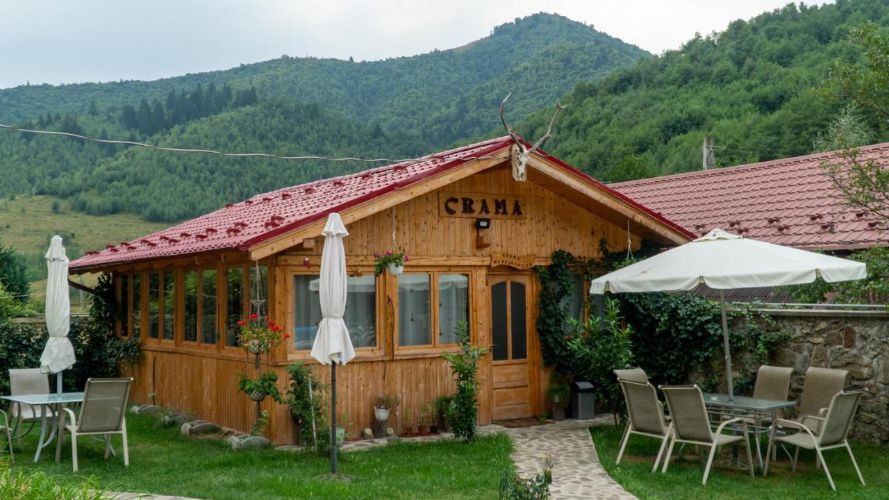Pensiunea Alpin Păltiniş Εξωτερικό φωτογραφία