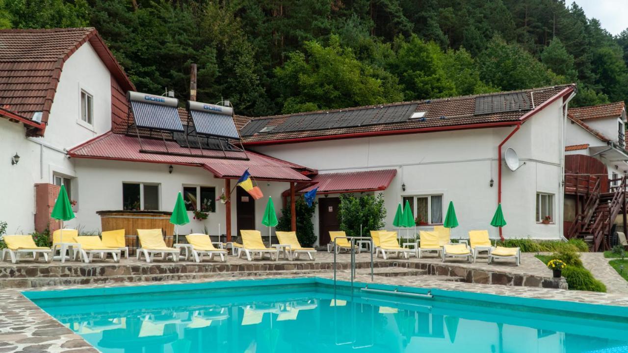 Pensiunea Alpin Păltiniş Εξωτερικό φωτογραφία