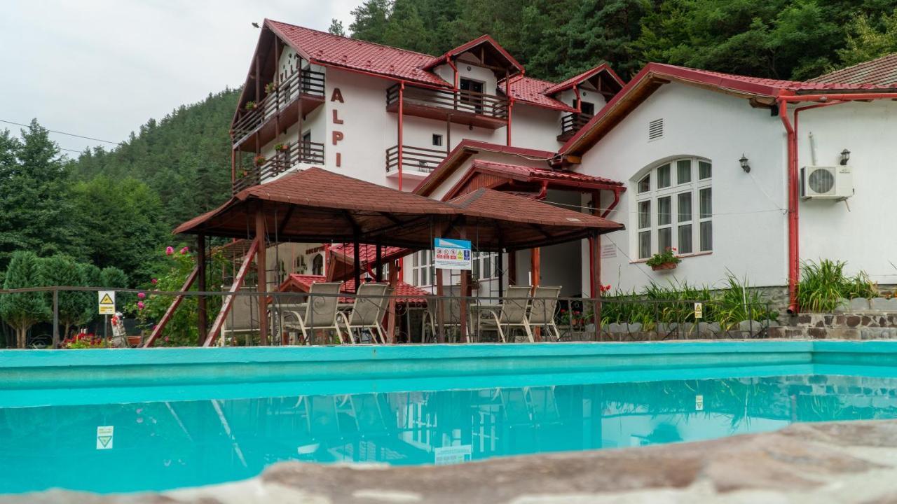 Pensiunea Alpin Păltiniş Εξωτερικό φωτογραφία
