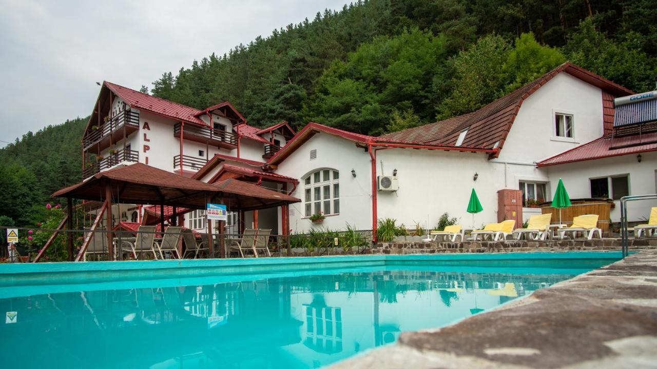 Pensiunea Alpin Păltiniş Εξωτερικό φωτογραφία
