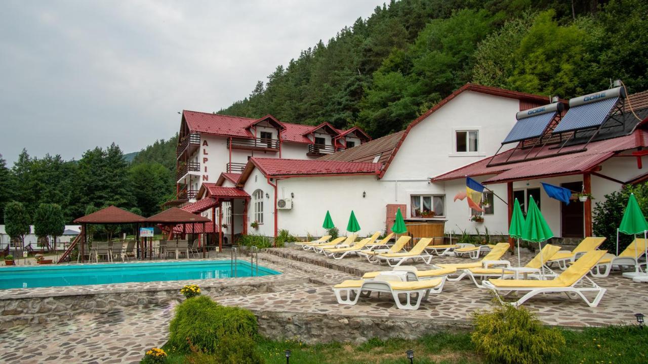 Pensiunea Alpin Păltiniş Εξωτερικό φωτογραφία