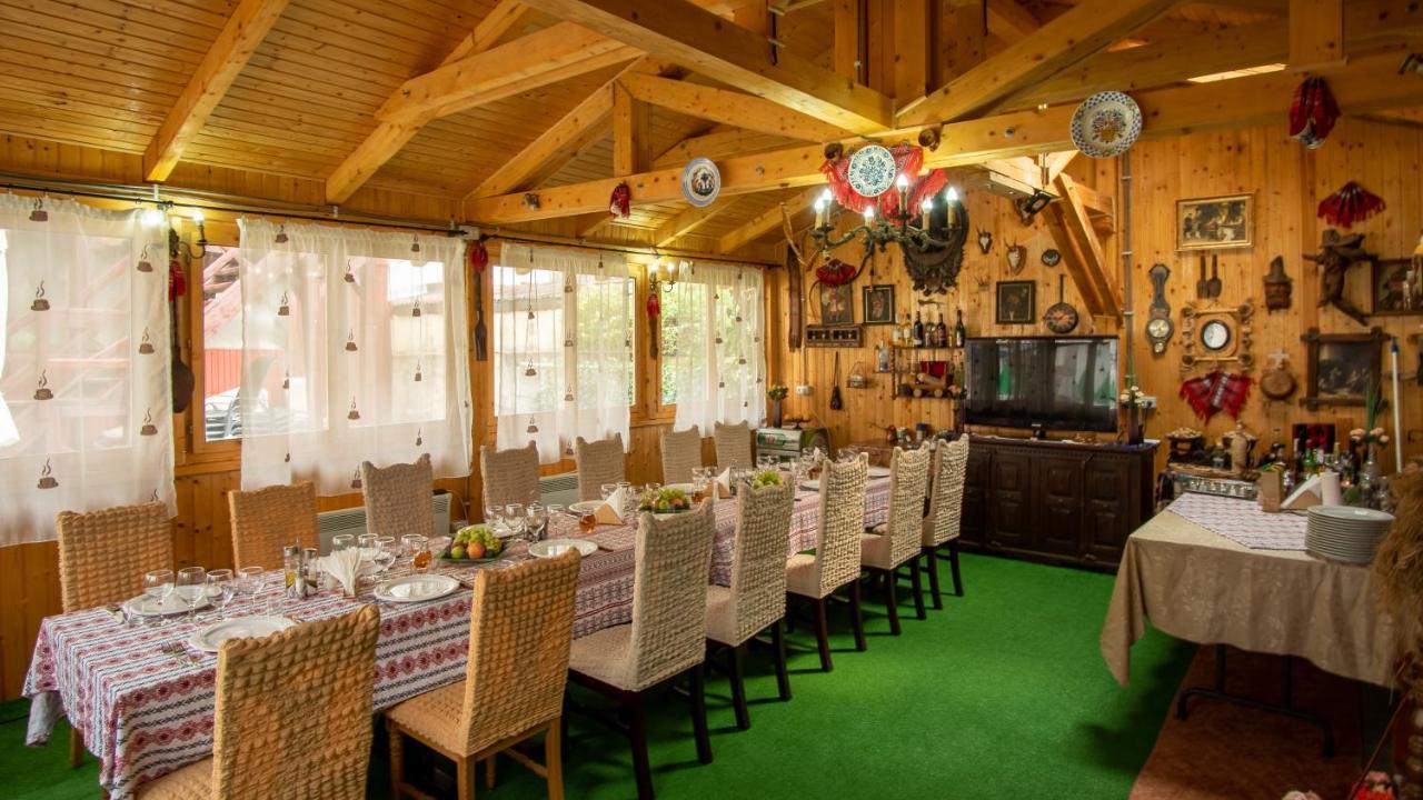 Pensiunea Alpin Păltiniş Εξωτερικό φωτογραφία