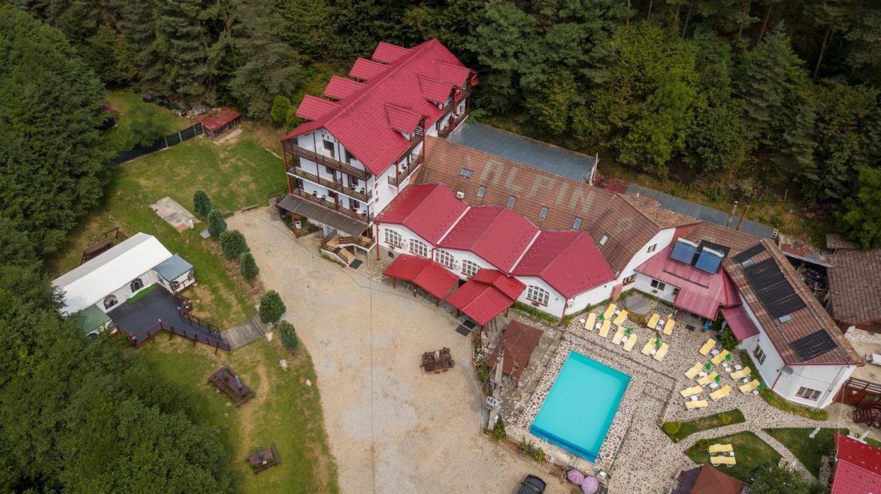 Pensiunea Alpin Păltiniş Εξωτερικό φωτογραφία