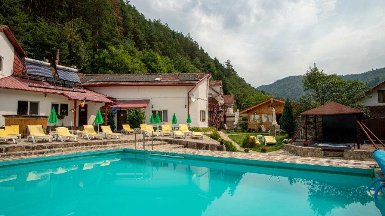 Pensiunea Alpin Păltiniş Εξωτερικό φωτογραφία
