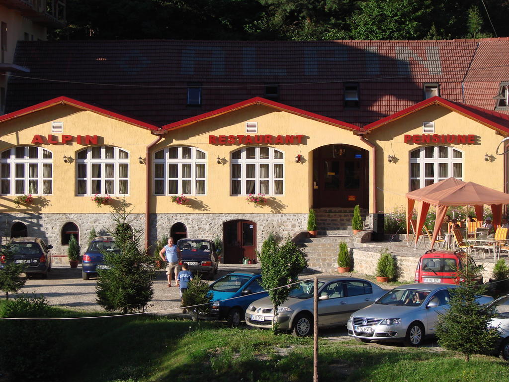 Pensiunea Alpin Păltiniş Εξωτερικό φωτογραφία