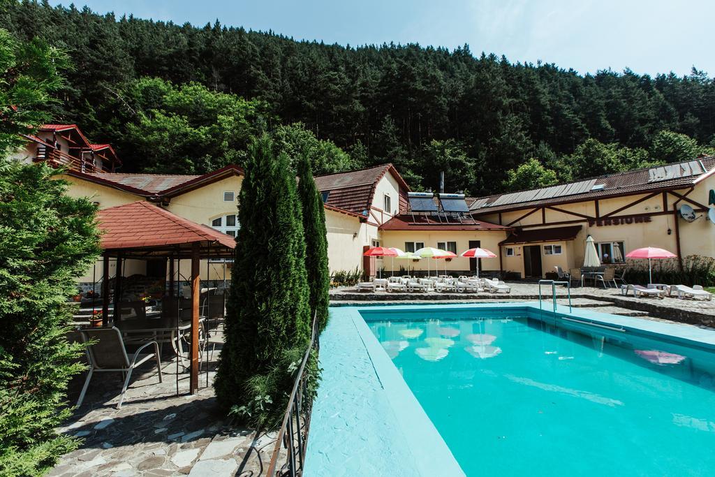 Pensiunea Alpin Păltiniş Εξωτερικό φωτογραφία