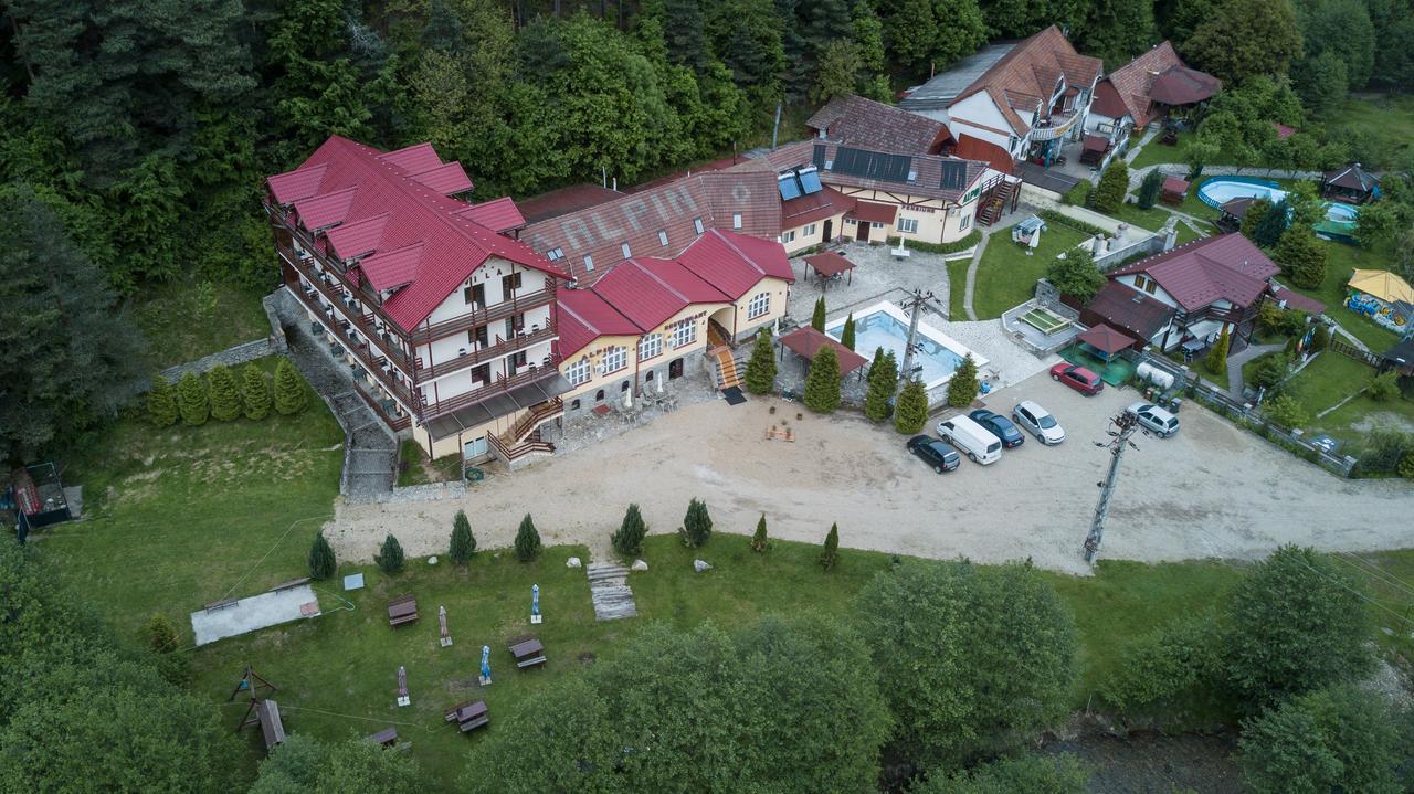 Pensiunea Alpin Păltiniş Εξωτερικό φωτογραφία